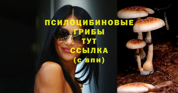 прущие грибы Балахна