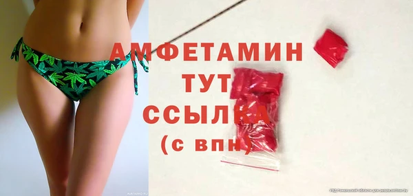 прущие грибы Балахна