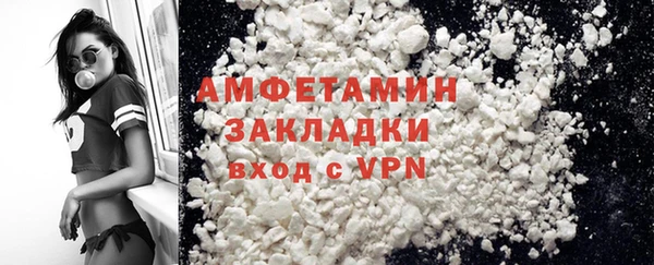 прущие грибы Балахна