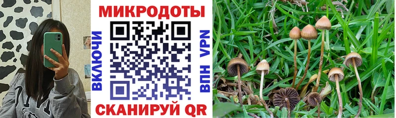 мега рабочий сайт  Семёнов  Псилоцибиновые грибы MAGIC MUSHROOMS  где купить наркоту 